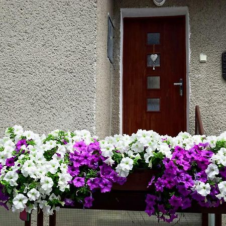 Apartman Martin Dış mekan fotoğraf